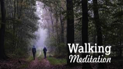 Virtual Mediational Walk